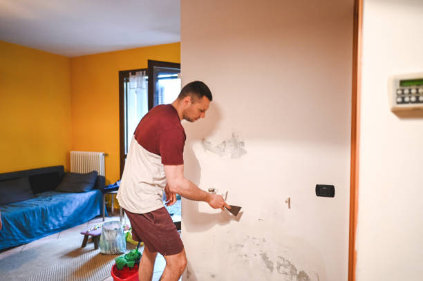 Best Emergency Mold Removal  in Ball, LA